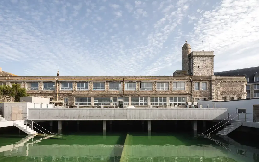 Station Biologique Roscoff avec Atelier Orra